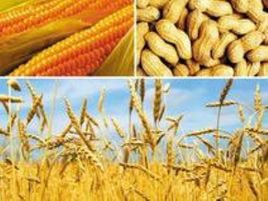 農(nóng)副產(chǎn)品銷售免稅政策 有那些