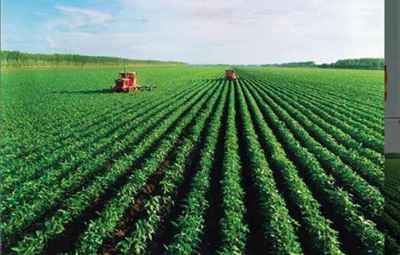 萬旺原生態(tài)農(nóng)產(chǎn)品,萬旺原生態(tài)農(nóng)業(yè)