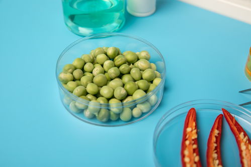 辣椒豌豆食品安全農(nóng)業(yè)科技食品培育攝影圖 插畫 下載至來源處