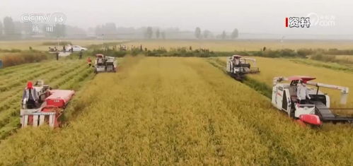 農(nóng)業(yè)高質(zhì)量發(fā)展成效顯著 農(nóng)業(yè)科技進步貢獻率達62.4