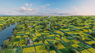 鳥瞰平原農田,現代田園,農田鳥瞰,油菜花田,生態(tài)農村,生態(tài)田園,生態(tài)農業(yè)鳥瞰田野,河流,田野,漁船,