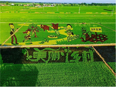 加速新型農業(yè)發(fā)展,華為云助力沈陽稻夢空間建設數字化產業(yè)園