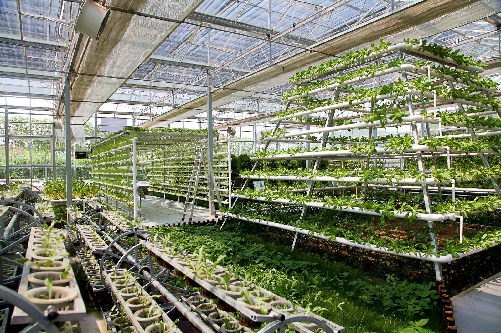 做大做強 西充爭當中國西部有機農業(yè)&ldquo;排頭兵&rdquo;