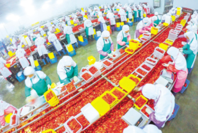 沖刺上市,&ldquo;農字號&rdquo;企業(yè)欲酬壯志