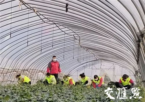 江蘇戰疫全景圖 無錫 預計挽回損失約10萬元 錫菜通 今年首單農產品交易落地