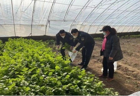 北京市農(nóng)業(yè)執(zhí)法系統(tǒng)開展監(jiān)督抽查 護(hù)航春節(jié)農(nóng)產(chǎn)品質(zhì)量安全