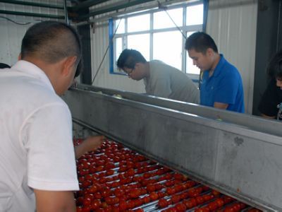 134團(tuán)開足馬力加工番茄 - 國內(nèi)新聞 - 新聞資訊 - 農(nóng)村信息網(wǎng)-農(nóng)業(yè)信息-農(nóng)民工招聘-農(nóng)產(chǎn)品價(jià)格行情-養(yǎng)殖技術(shù)
