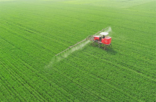 河北邢臺市南和區(qū) 麥田管護(hù)保豐收