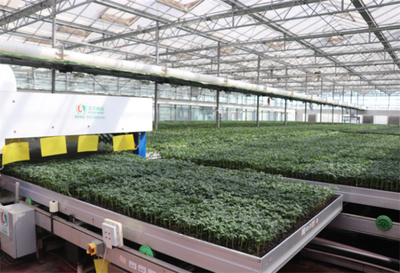 山東省濟(jì)南市濟(jì)陽區(qū)智慧育苗賦能鄉(xiāng)村振興