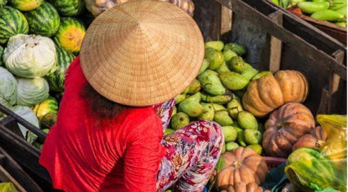 從產(chǎn)品到產(chǎn)業(yè)帶 京東助農(nóng) 萬(wàn)億產(chǎn)值 路線圖