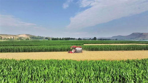 凝心聚力促發(fā)展 砥礪奮進(jìn)踏新程 渭源縣推進(jìn)經(jīng)濟(jì)社會(huì)高質(zhì)量發(fā)展綜述