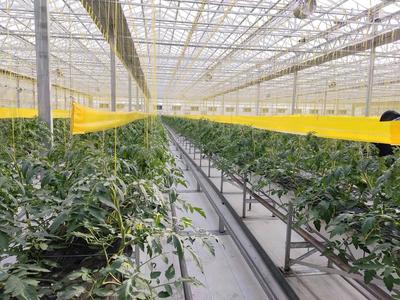 【觀察】緊盯&ldquo;十四五&rdquo;目標 濰坊國家農(nóng)綜區(qū)模式再升級