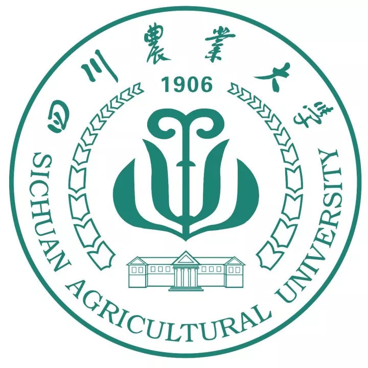 大學?；蔗屃x 之五(S-T)