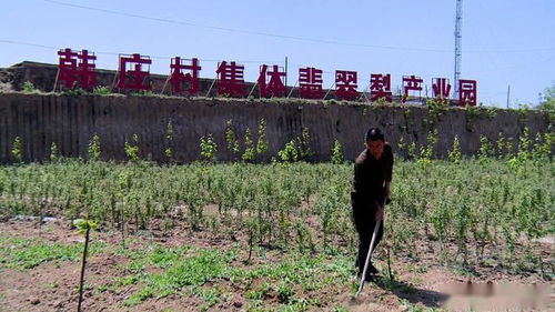 退役不失本色 致富不忘鄉(xiāng)鄰