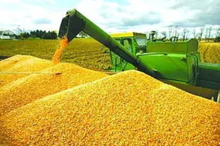 順應我省農業(yè)供給側結構性改革大潮 打造新型農產品經紀人