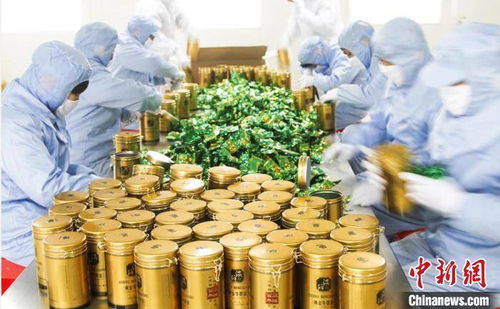 萬(wàn)畝 豐縣牛蒡 助力鄉(xiāng)村振興 漢皇故里江蘇豐縣再領(lǐng)風(fēng)騷