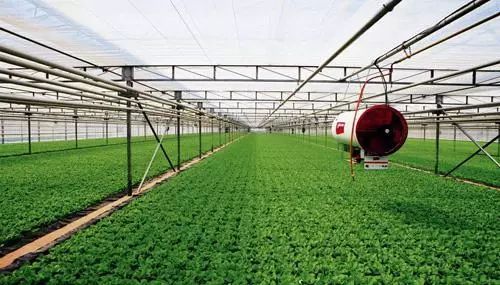 現(xiàn)代農(nóng)業(yè)讓城市更美好 黨的十八大以來(lái)都市現(xiàn)代農(nóng)業(yè)發(fā)展綜述