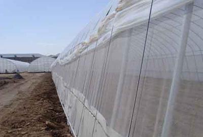 【廠家生產(chǎn)聚乙烯網(wǎng)帶包裝 防蟲網(wǎng) 窗紗網(wǎng)(圖)】?jī)r(jià)格_廠家_圖片 -