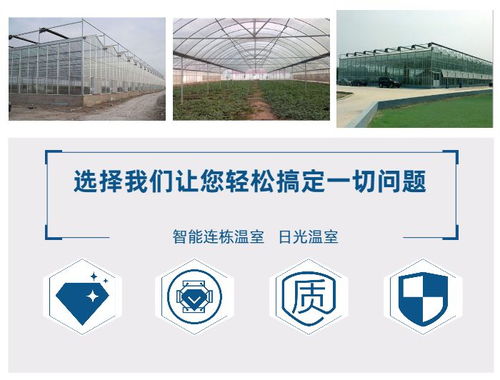 生態(tài)餐廳無(wú)土栽培廠家 鑫華生態(tài)農(nóng)業(yè) 在線咨詢 邯鄲生態(tài)餐廳高清圖片 高清大圖