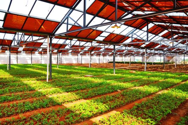 顛覆 | 不只是工廠,工業(yè)4.0時(shí)代也將顛覆農(nóng)業(yè)