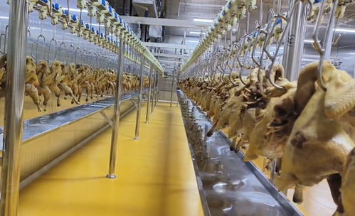 豐都非遺陶壇 酵醒美味，振興農業