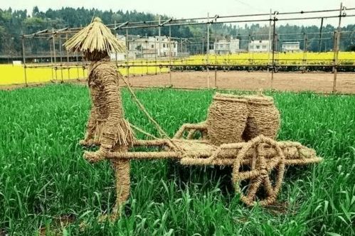 河北省農(nóng)業(yè)農(nóng)村廳推出11條休閑農(nóng)業(yè)精品線路，助力農(nóng)業(yè)旅游發(fā)展