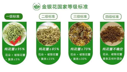 廣西巴馬意生活生態農業產品正式上市 健康農業新標桿，綠色生活新風尚